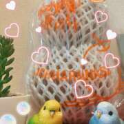 ヒメ日記 2025/09/15 20:51 投稿 西城 HERMINE-エルミネ-