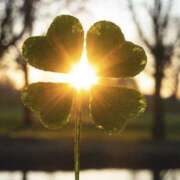 ヒメ日記 2025/10/06 12:31 投稿 西城 HERMINE-エルミネ-