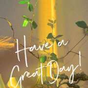 ヒメ日記 2025/10/20 07:31 投稿 西城 HERMINE-エルミネ-