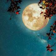 ヒメ日記 2025/10/27 21:19 投稿 西城 HERMINE-エルミネ-