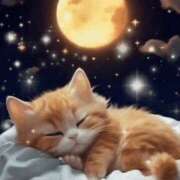 ヒメ日記 2025/11/02 04:24 投稿 西城 HERMINE-エルミネ-