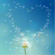 ヒメ日記 2025/12/01 20:01 投稿 西城 HERMINE-エルミネ-