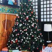 ヒメ日記 2025/12/21 09:31 投稿 西城 HERMINE-エルミネ-