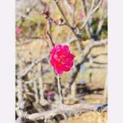 ヒメ日記 2026/02/10 06:41 投稿 西城 HERMINE-エルミネ-