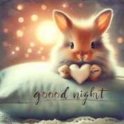 西城 こんばんは♪ HERMINE-エルミネ-