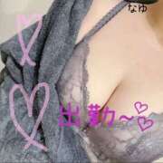 ヒメ日記 2025/07/03 16:10 投稿 なゆ 奥様さくら難波店