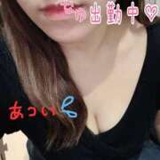 ヒメ日記 2025/08/26 15:39 投稿 なゆ clubさくら難波店