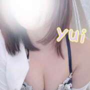 ヒメ日記 2025/10/26 16:43 投稿 ゆい 品川ラズベリー（シンデレラグループ）