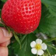 ヒメ日記 2025/03/23 15:01 投稿 瑛万(えま) 可憐な妻たち 高崎店