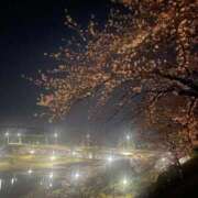 ヒメ日記 2025/04/05 11:08 投稿 瑛万(えま) 可憐な妻たち 高崎店