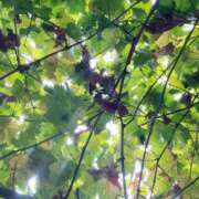 ヒメ日記 2025/10/08 21:00 投稿 瑛万(えま) 可憐な妻たち 高崎店