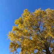 瑛万(えま) こんばんは🌟 可憐な妻たち 高崎店