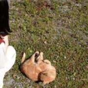 ヒメ日記 2025/05/02 10:37 投稿 乃々華(ののか) 可憐な妻たち 高崎店