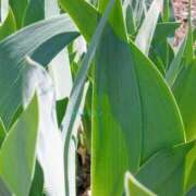 ヒメ日記 2025/05/09 06:51 投稿 乃々華(ののか) 可憐な妻たち 高崎店