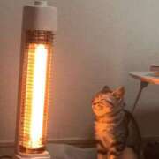 乃々華(ののか) ポッと♡ 可憐な妻たち 高崎店