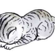 愛莉紗(ありさ) ＊お休みになりました＊ 可憐な妻たち 高崎店