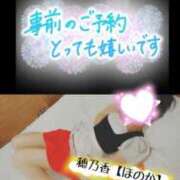 ヒメ日記 2025/07/10 10:30 投稿 穂乃香ほのか) 可憐な妻たち 高崎店