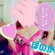 ヒメ日記 2025/07/29 14:18 投稿 穂乃香ほのか) 可憐な妻たち 高崎店