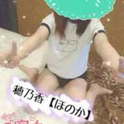 ヒメ日記 2025/08/29 10:37 投稿 穂乃香ほのか) 可憐な妻たち 高崎店