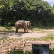 ヒメ日記 2025/09/05 15:59 投稿 穂乃香ほのか) 可憐な妻たち 高崎店