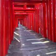 ヒメ日記 2026/01/27 15:28 投稿 美輝(みき) 可憐な妻たち 高崎店