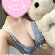 ヒメ日記 2025/04/06 10:30 投稿 こゆき 可憐な妻たち 高崎店