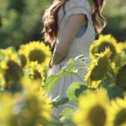 ヒメ日記 2025/08/03 07:15 投稿 茉莉花(まりか) 可憐な妻たち 高崎店