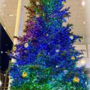 ヒメ日記 2025/12/08 21:33 投稿 ゆうか【男心を揺さぶる極嬢】 La.qoo　金沢本店