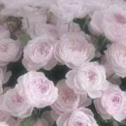 ヒメ日記 2026/03/25 17:48 投稿 ゆうか【男心を揺さぶる極嬢】 La.qoo　金沢本店