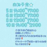 ヒメ日記 2025/10/05 14:30 投稿 椎那(しいな) 可憐な妻たち 高崎店