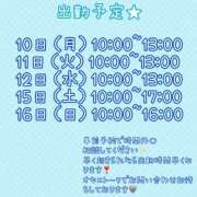 ヒメ日記 2025/11/09 21:01 投稿 椎那(しいな) 可憐な妻たち 高崎店