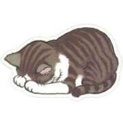 ヒメ日記 2025/07/10 12:12 投稿 美尋(みひろ) 可憐な妻たち 高崎店