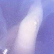 ヒメ日記 2025/03/16 03:03 投稿 えみり【圧巻のEカップ美巨乳】 La.qoo　金沢本店