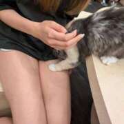 ヒメ日記 2025/04/28 19:03 投稿 みり【そそる抜群BODY】 La.qoo　金沢本店