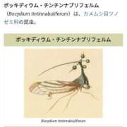 いちせ☆亀頭責め止まらない快楽 近々……♡ もえたく