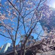 ヒメ日記 2025/04/02 14:20 投稿 かずは One More 奥様　錦糸町店