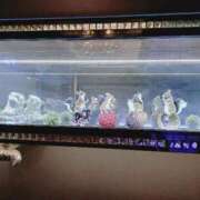 ヒメ日記 2025/08/31 19:13 投稿 かずは One More 奥様　錦糸町店