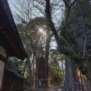 ヒメ日記 2026/01/10 12:47 投稿 かずは One More 奥様　錦糸町店