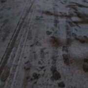 ヒメ日記 2026/02/08 06:23 投稿 かずは One More 奥様　錦糸町店