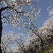 ヒメ日記 2026/04/06 19:24 投稿 かずは One More 奥様　錦糸町店