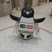 かずは あと1年…… One More 奥様　錦糸町店