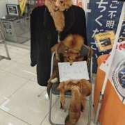 ヒメ日記 2026/07/13 21:23 投稿 かずは One More 奥様　錦糸町店