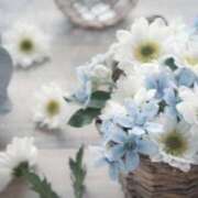 山科雅代 1/22 おはようございます 五十路マダムエクスプレス横浜店（カサブランカグループ）