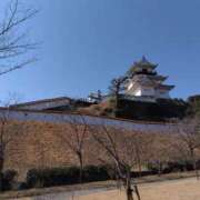 ヒメ日記 2025/03/03 13:12 投稿 山岡乃里子 五十路マダム 岐阜店