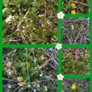 ヒメ日記 2025/03/07 19:30 投稿 山岡乃里子 五十路マダム 岐阜店