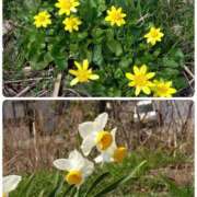 ヒメ日記 2025/03/26 12:12 投稿 山岡乃里子 五十路マダム 岐阜店