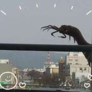 ヒメ日記 2025/03/27 10:38 投稿 山岡乃里子 五十路マダム 岐阜店