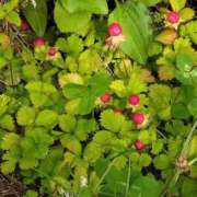 ヒメ日記 2025/05/20 08:58 投稿 山岡乃里子 五十路マダム 岐阜店