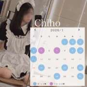 Chiho お待たせしました🙂‍↕️！ THE PREMIUM （プレミアム）