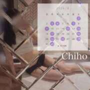 Chiho ８月🍉🏝️ THE PREMIUM （プレミアム）